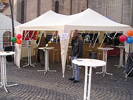 Guggenfestival 2008