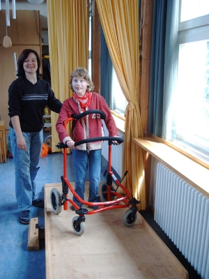 im Gehwagen