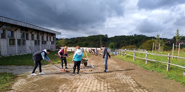 Arbeitsgruppe Stollenhof