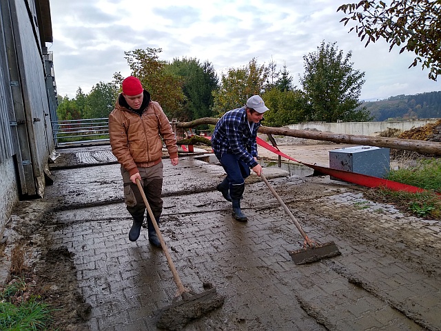 Arbeitsgruppe Stollenhof