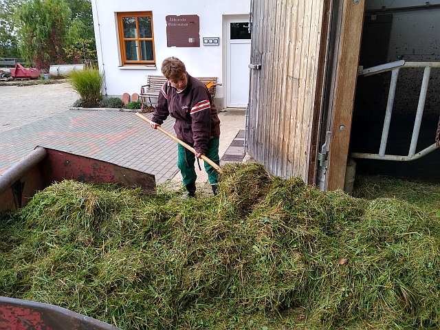 Arbeitsgruppe Stollenhof